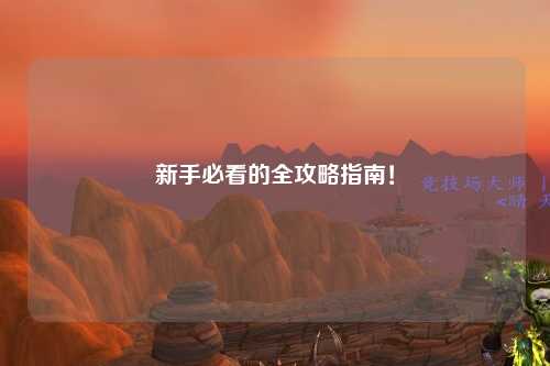 新手必看的全攻略指南！
