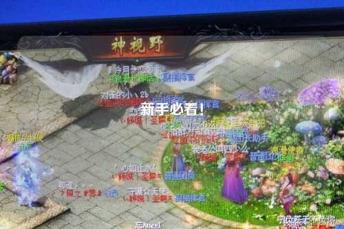 新手必看！