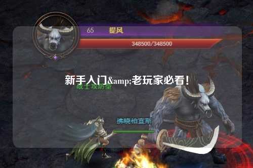 新手入门&老玩家必看！