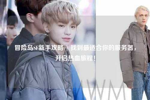 冒险岛SF新手攻略 | 找到最适合你的服务器，开启热血旅程！