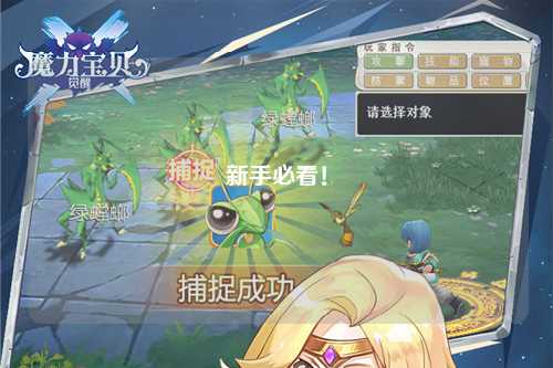 新手必看！
